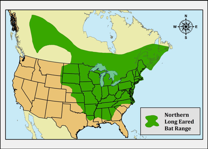 Northern Long-Eared Bat State Map