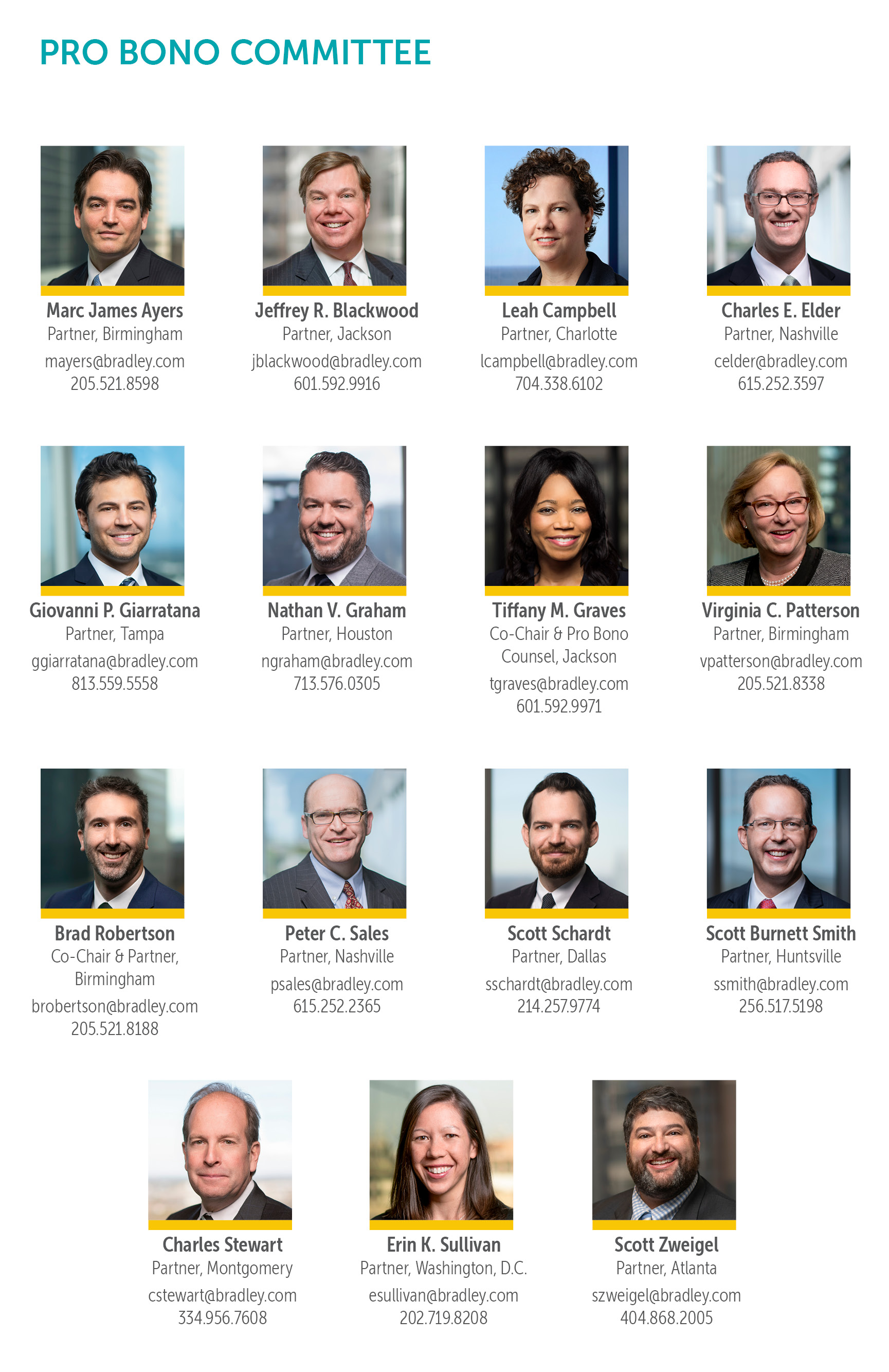 Pro Bono Committee Members' Contact Cards
