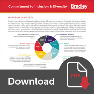 Inclusion and Diversity One Page Brochure Download Button