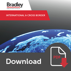 International & Cross Border Brochure Download Button