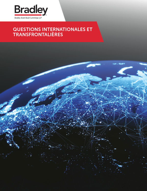 International & Cross Border Brochure - French